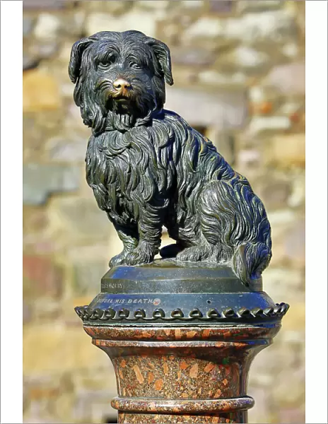 Statue of Skye Terrier dog Greyfriars Bobby, Edinburgh, Scotland