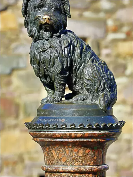 Statue of Skye Terrier dog Greyfriars Bobby, Edinburgh, Scotland