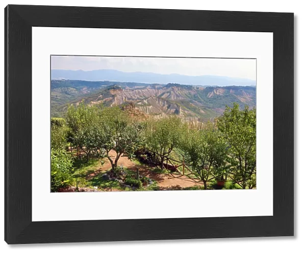Italian countryside and trees seen from the hilltop village of Civita di Bagnoregio