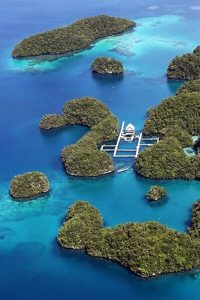 Aerial view of islands and Dolpjins of the Pacific, Republic of Palau, Micronesia