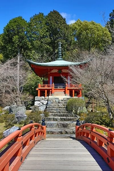 Bentendo Hall at Daigoji Buddhist Temple with cherry blossom in Kyoto, Japan
