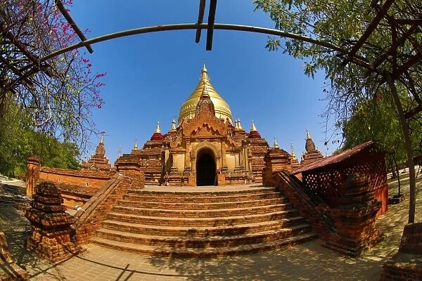 Dhammayazika Pagoda Temple on the Plain of Bagan, Bagan, Myanmar (Burma)