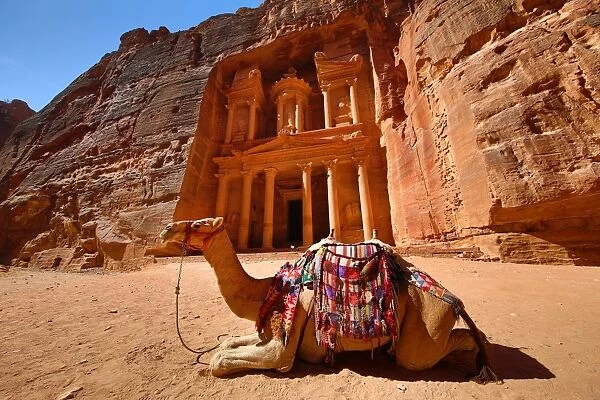 View of the Treasury, Al-Khazneh with camels, Petra, Jordan