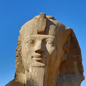 The Sphinx of Memphis statue at the Memphis Museum, Cairo, Egypt