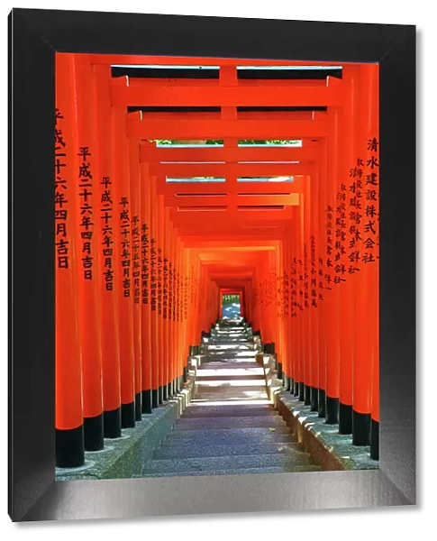 Red Torii Gate tunnel at the Hie-Jinja Shinto Shrine, Tokyo, Japan