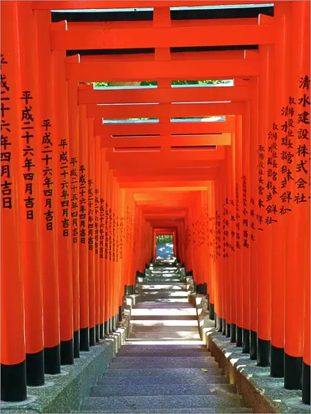 Red Torii Gate tunnel at the Hie-Jinja Shinto Shrine, Tokyo, Japan