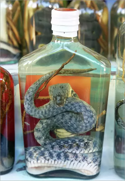 Bottle of Snake Whiskey in Whisky Village near Luang Prabang, Laos