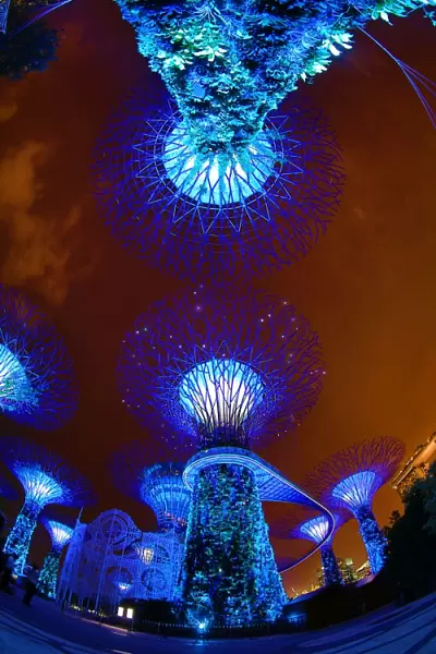 Supertrees in the Supertrees Grove in the Gardens by the Bay, Singapore, Republic