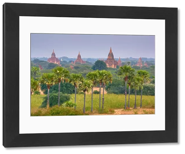 Temples and pagodas on the Central Plain of Bagan, Myanmar (Burma)