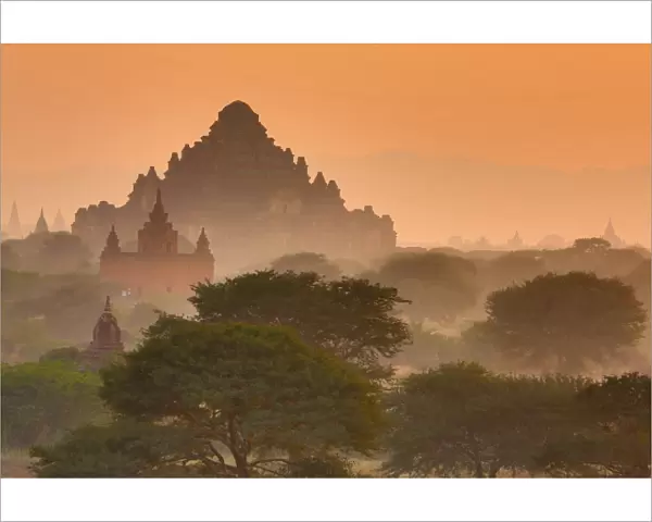 Dhammayangyi Pagaoda and Temples and pagodas at sunset on the Central Plain of Bagan