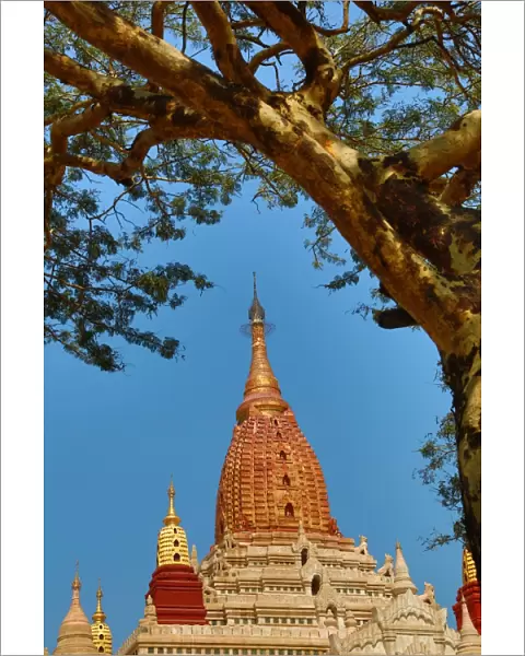 Ananda Pagoda Temple in Old Bagan, Bagan, Myanmar (Burma)