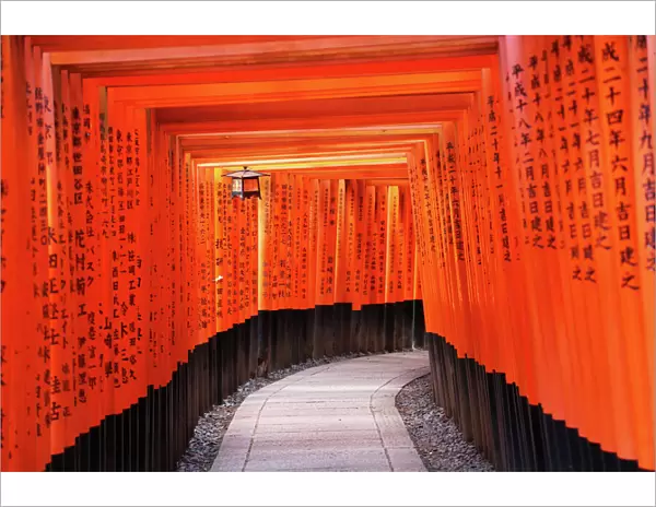 Senbon Torii, tunnels of red torii gates, at Fushimi Inari Shinto shrine in Kyoto, Japan
