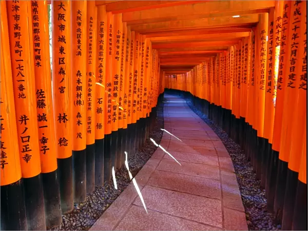 Tunnel of red torii gates, Fushimi Inari shrine, Kyoto, Japan