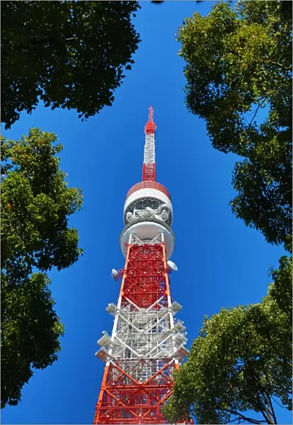 The Tokyo Tower in Tokyo, Japan