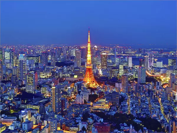 City skyline view of the Tokyo Tower and Tokyo, Japan at night