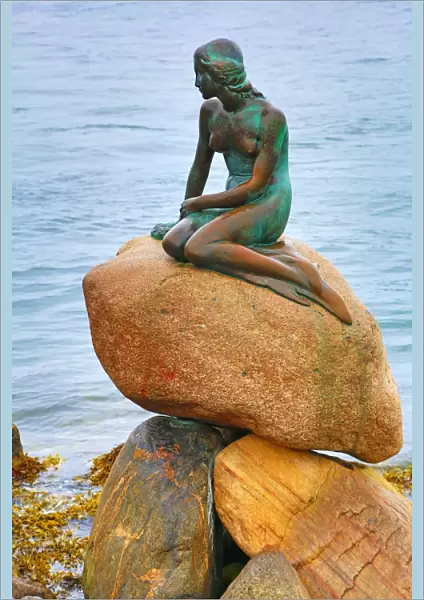 The Little Mermaid statue in Copenhagen, Denmark