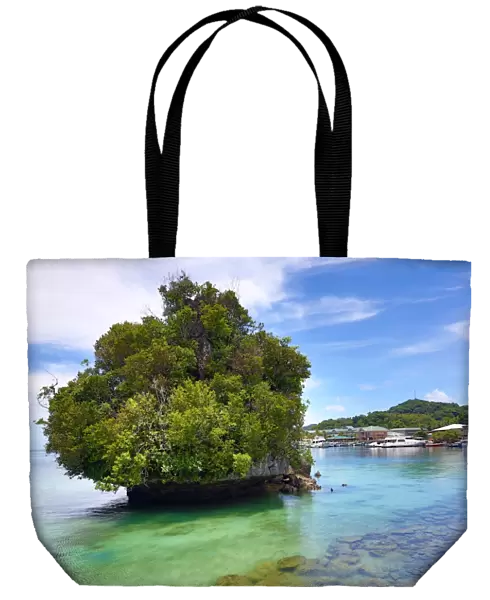 Limestone island in Koror, Koror Island, Republic of Palau, Micronesia, Pacific Ocean