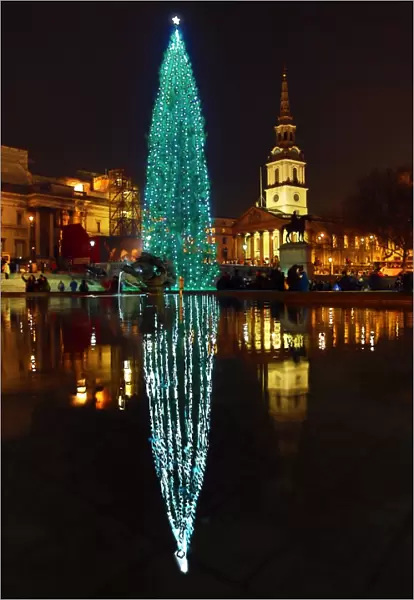 Trafalgar Square Christmas Tree and reflection, Trafalgar Square, London