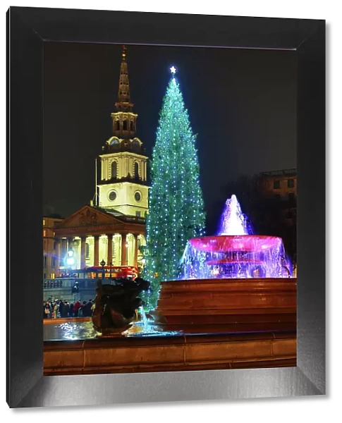 Trafalgar Square Christmas Tree, fountain and reflection, London