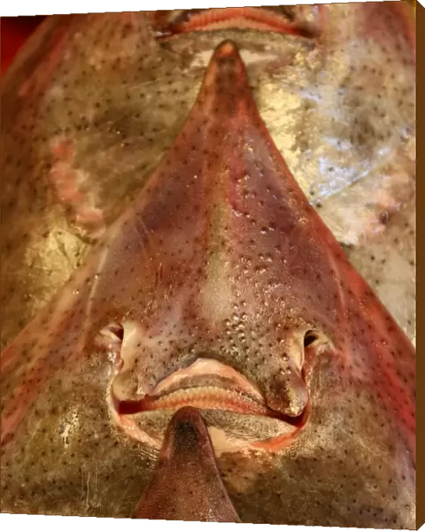 Smiling face of fish at the Noryangjin Fish and Seafood Market in Seoul, Korea