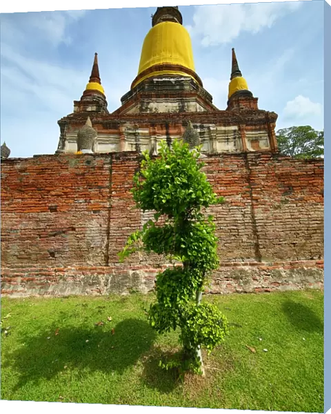 Ruins of the chedi at Wat Yai Chaimongkol Temple, Ayutthaya, Thailand