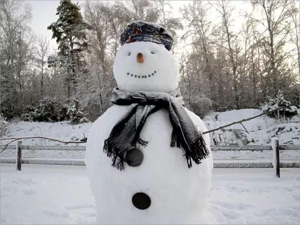 Snowman in Winter