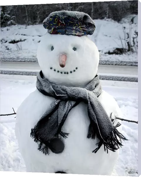 Snowman in winter