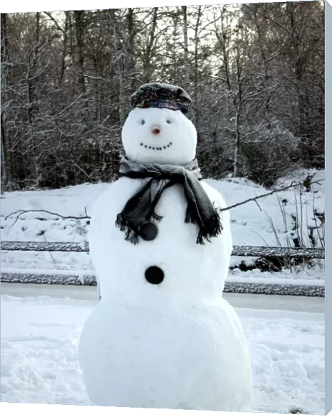 Snowman in winter snow