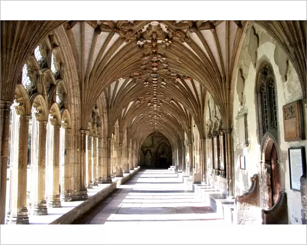 Cloisters of Canterbury Cathedral, Canterbury, Kent, England