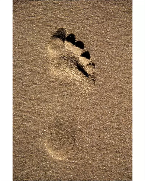 Footprint impression on sandy beach