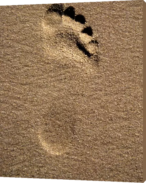 Footprint impression on sandy beach