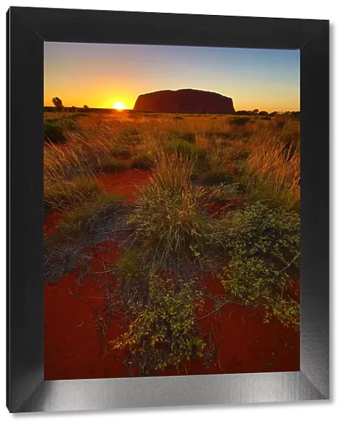 Sunrise at Uluru, Ayers Rock, Uluru-Kata Tjuta National Park, Northern Territory