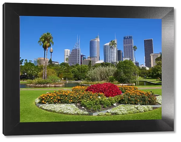 Sydney city skyline and Central Business District and the Royal Botanic Gardens, Sydney, New South Wales