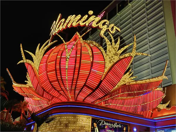 Neon lights of the Flamingo Hotel and Casino at night, Las Vegas, Nevada, America