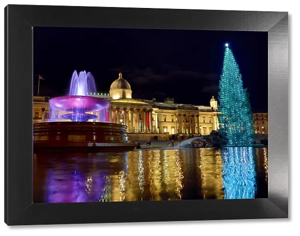Christmas Tree and fountain in Trafalgar Square, London