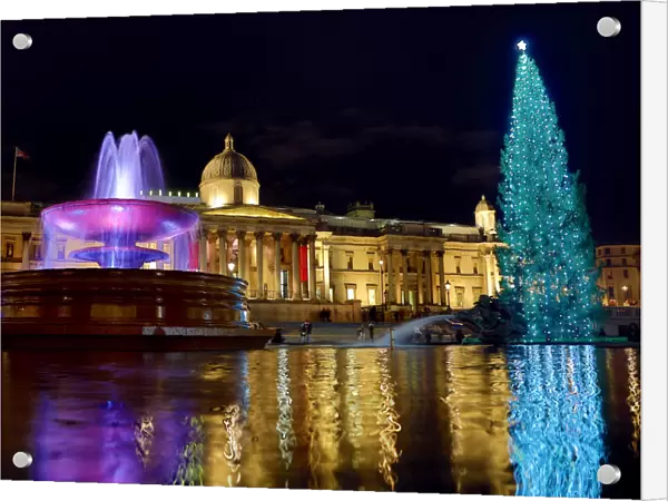 Christmas Tree and fountain in Trafalgar Square, London