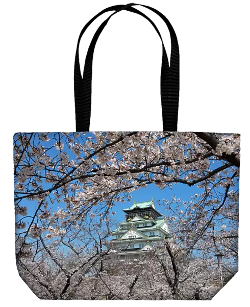 Osaka Castle and cherry blossom trees, Osaka, Japan