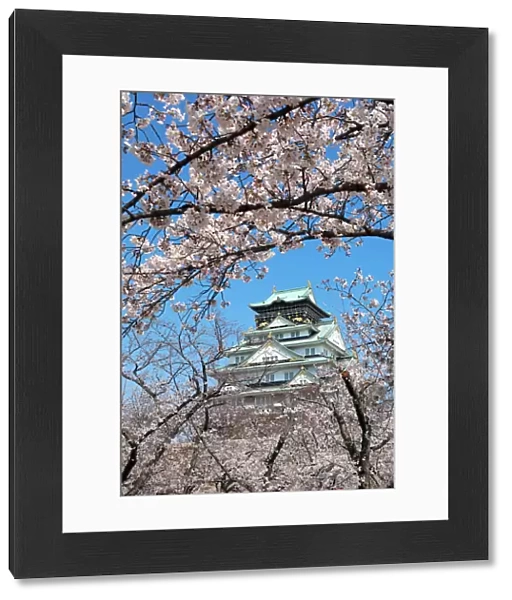 Osaka Castle seen through the branches of cherry blossom, Japan