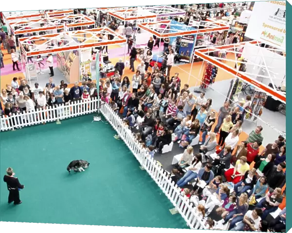 Kennel Club dog training at the London Pet Show 2011