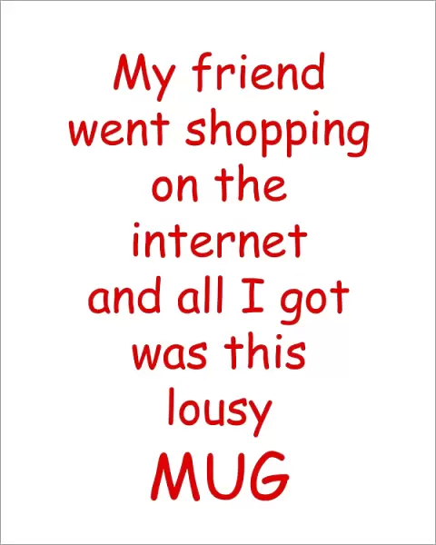 My friend went shopping on the internet lousy mug