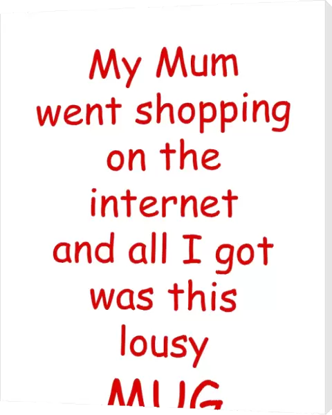 My Mum went shopping on the internet lousy mug