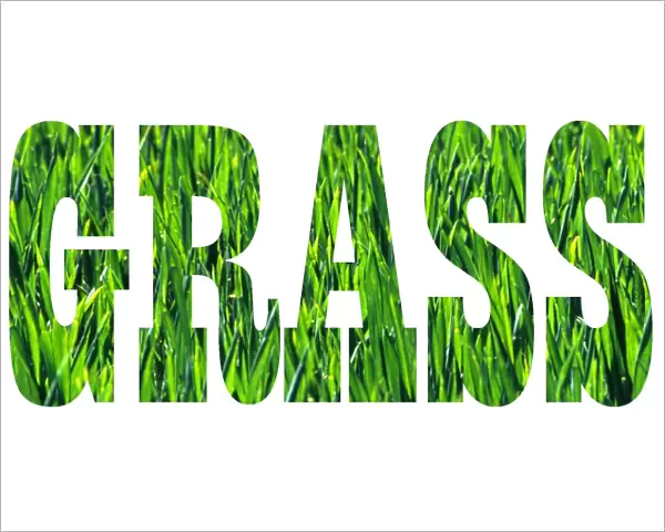 Green blades of lawn grass word logo mug