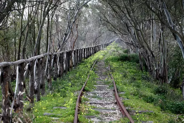 Disused railway line