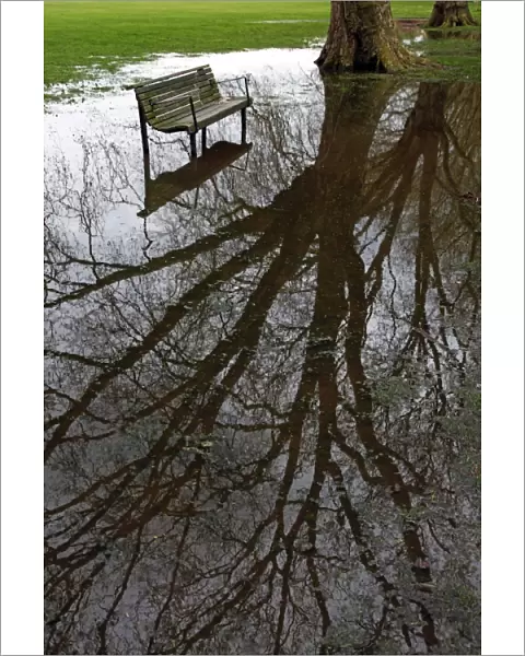 Empty wooden bench in flooded park with reflection in water