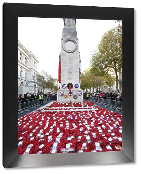 Remembrance Day poppies at the Cenotaph, London