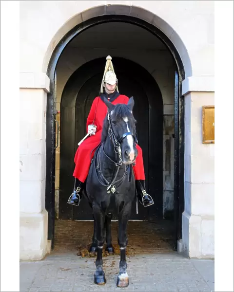 Guard on a horse at Horseguards Parade, London