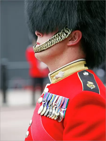Guard wearing a bearskin hat at the Queen Elizabeth II Diamond Jubilee Celebrations, London