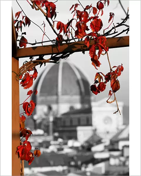 Red autumn leaves and the Duomo, Santa Maria del Fiore, Florence, Italy, spot colour