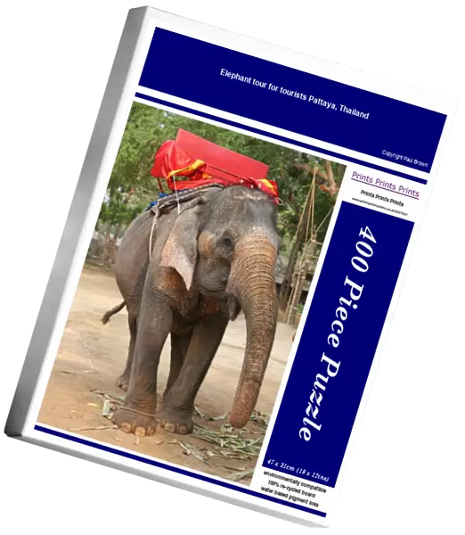 Elephant tour for tourists Pattaya, Thailand