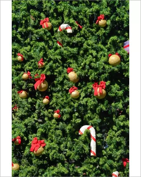 Christmas Tree Decorations on a Xmas Tree in Pattaya, Thailand